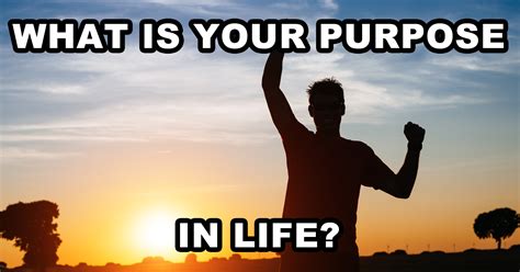 What Is Your Purpose in Life? - Quiz