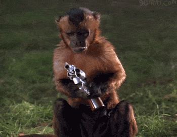 Monkey Gun GIFs - Find & Share on GIPHY