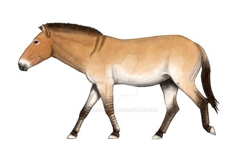 The Breeding-back Blog: A Pleistocene wild horse from Denmark