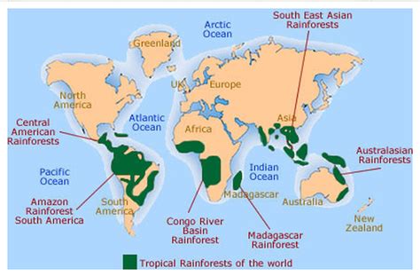 Map of all the Rainforests