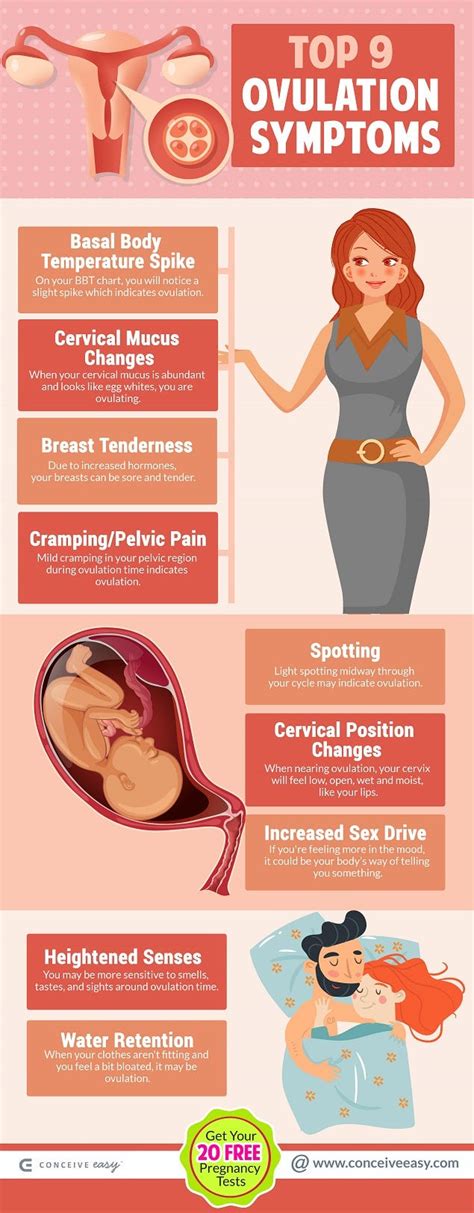 Top 9 Ovulation Symptoms Infographic | by Conceive Easy | Medium