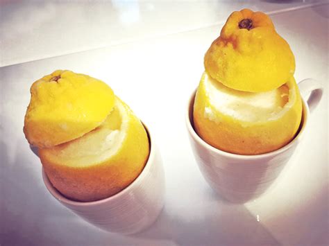 SORBET AU CITRON - Karine Belmer-Marellec