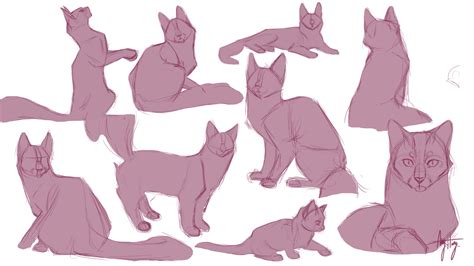 Cat Anatomy Study by MasqueradePaint on @DeviantArt | Эскизы животных ...