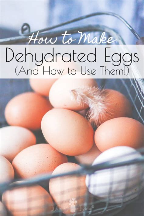 Dehydrated Eggs | Dehydrator, Dehydrating eggs, Dehydrator recipes