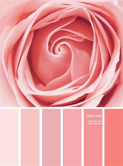 Color Inspiration : Rose Pink Tones | Color palette pink, Orange color ...