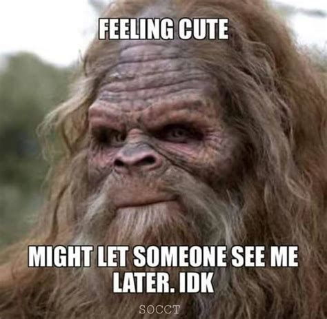 Pin by Eyesa Mars on Cryptozoology | Bigfoot humor, Sasquatch funny ...