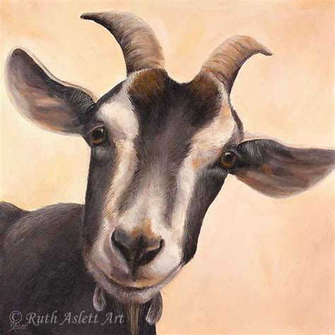 Gallery | Goat art, Goat paintings, Farm animal painting