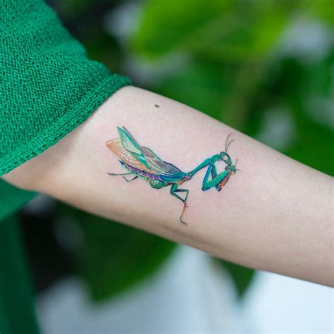 Mantis tattoo on the left inner forearm.