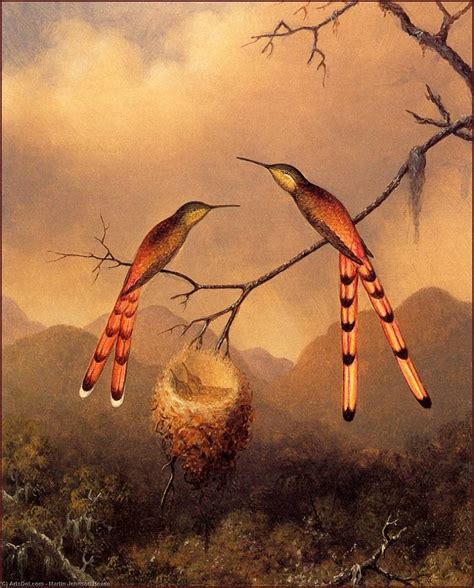 Paintings Reproductions two Hummingbirds With Young by Martin Johnson ...