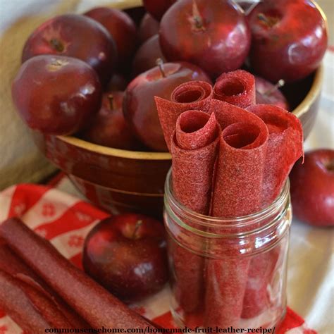 Nectarine Fruit Leather Recipe