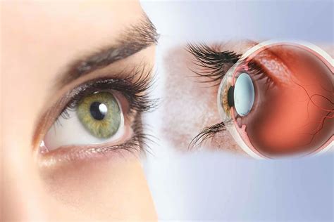 Everything You Should Know About Retinal Diseases - SS Publishers ...