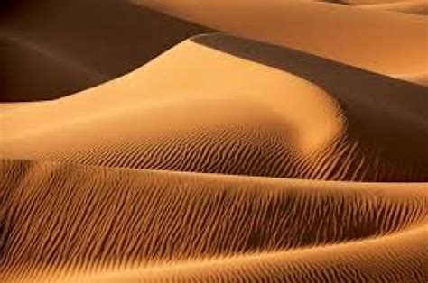 Dunes (Identifying errors) · English grammar exercise (advanced level ...