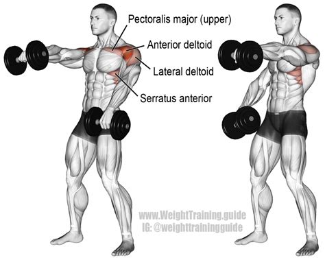 Alternating dumbbell front raise guide and video | Weight Training ...