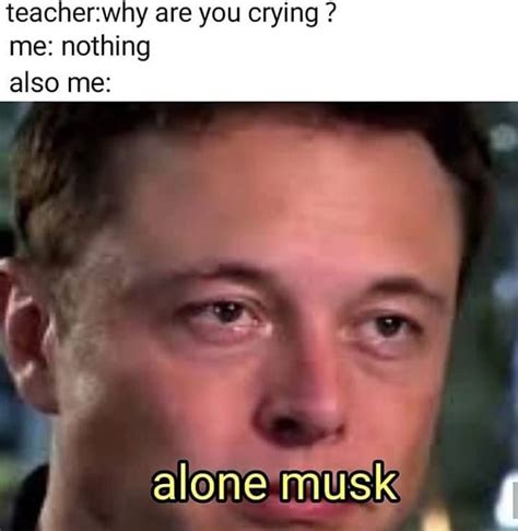 elon musk memes - Google Search | Funny memes, Memes, Dankest memes