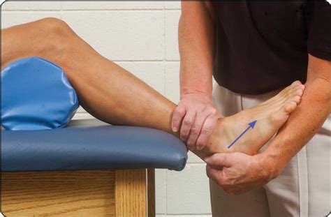 Examination of Musculoskeletal Injuries- Human Kinetics