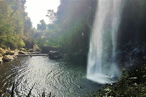 Hiking in Springbrook National Park, QLD | Snowys Blog