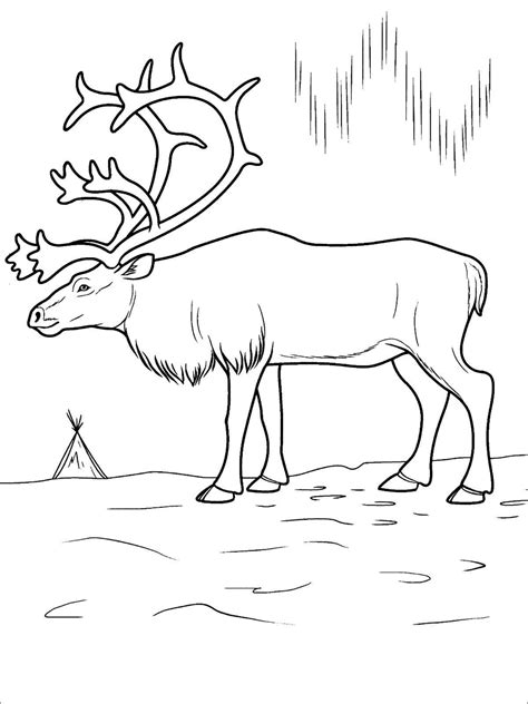 Arctic Animals Coloring Pages - ColoringBay