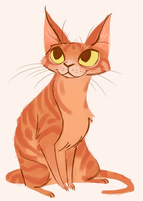 Orange Tabby Cat Drawing