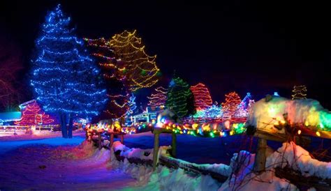 A Picturesque Light Festival Is Bringing Much-Needed Holiday Joy To ...