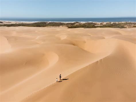 Pismo Beach Sand Dunes: The Essential Guide to Visiting Oceano Dunes