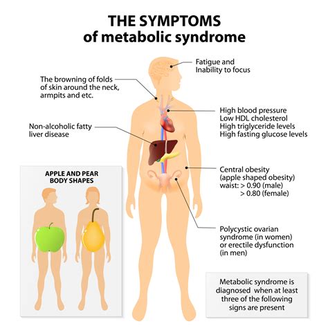 Diabetes Symptoms in Men - University Health News