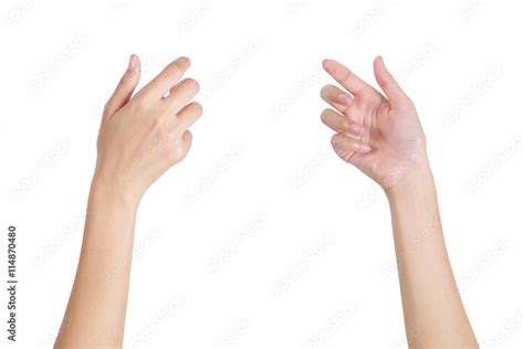 Woman's hands holding something empty front and back side, isolated on ...