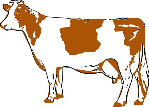 Download Cow, Udder, Company. Royalty-Free Vector Graphic - Pixabay