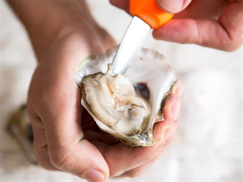 How to Shuck an Oyster | Knife Skills