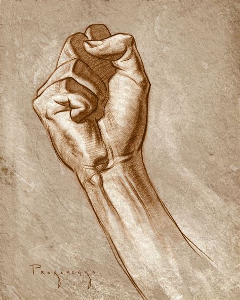 Proko - Drawing a Perfect Fist – HANDS in Action!!! | Anatomy art ...