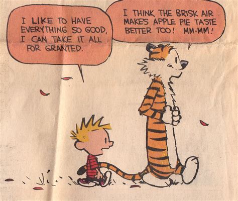 Calvin and Hobbes QUOTE OF THE DAY (DA): "I like to have everything so ...