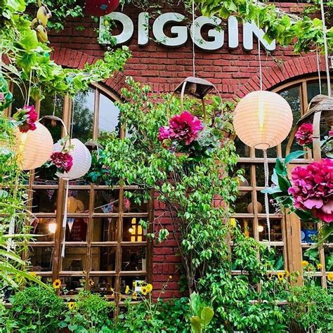 Enjoy Delicious Food At Diggin, Chanakyapuri | LBB, Delhi