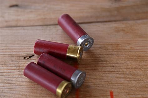 Bullet Casings | Tour Guide To Fun