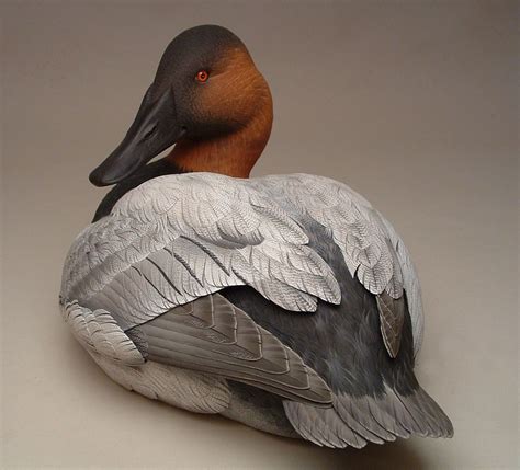 Canvasback Drake 2005 - Godin Art