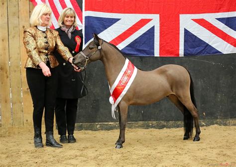 2019 National Spring Show Championships - The Miniature Horse Club Of ...