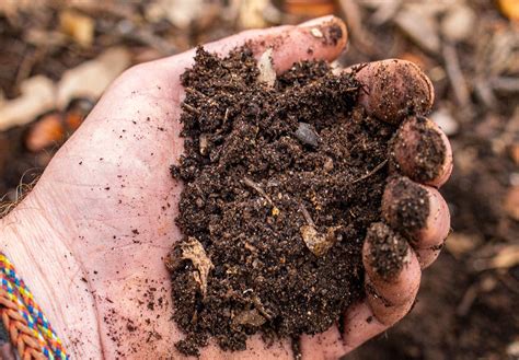 What Is Healthy Soil, And How Can We Build It? - Hort People