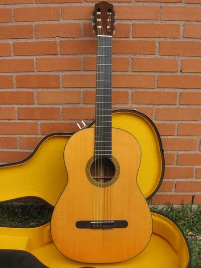 1971 Martin N-20 Rosewood Nylon Classical Acoustic Guitar Willie Nelson ...