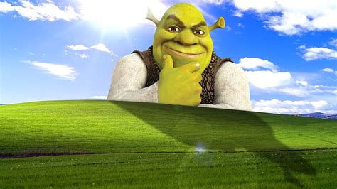 Shrek 1080P, 2K, 4K, 5K HD wallpapers free download | Wallpaper Flare