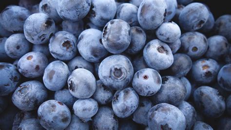 Blueberry, HD Others, 4k Wallpapers, Images, Backgrounds, Photos and ...