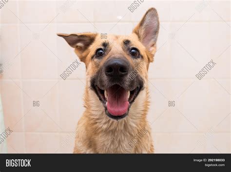 Bathing Funny 이미지 및 사진(무료 체험) | Bigstock