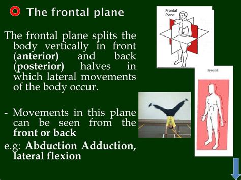 PPT - Axes and planes (fundamental positions and movements) PowerPoint ...