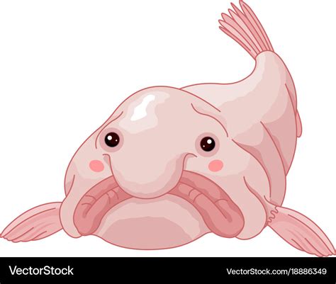 List 104+ Pictures Images Of A Blobfish Excellent