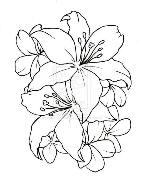 Flowers_tattoo_35 | Flower drawing, Drawings, Tattoo stencils