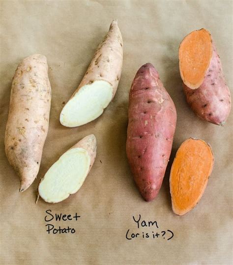 Your Guide to the Sweet Potato: Our Best Recipes, Suggestions, and Tips ...