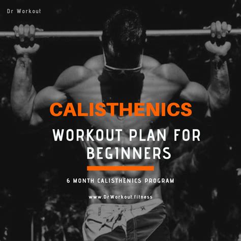 Calisthenics Workout Plan for Beginners - 6 Month Program (with PDF ...