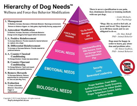 Hierarchy of Dog Needs TM | Dog needs, Dogs, Crazy dog lady