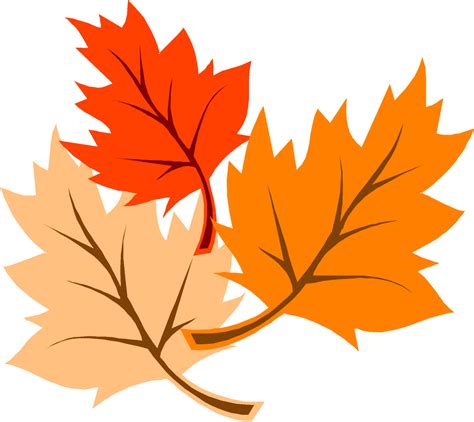 Free Fall Leaves Cartoon, Download Free Fall Leaves Cartoon png images ...