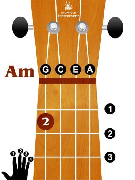 Basic Ukulele Chords For Beginners - Know Your Instrument