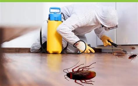 Godrej Pest control Services in Delhi, Noida, Gurgaon, NCR India ...