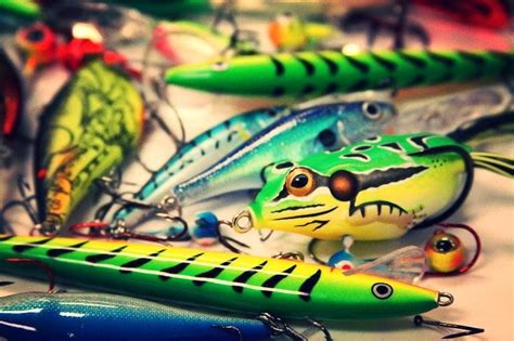 Bait and Lures // Fishing - Scheels | Fishing lures, Fishing bait, Bait ...