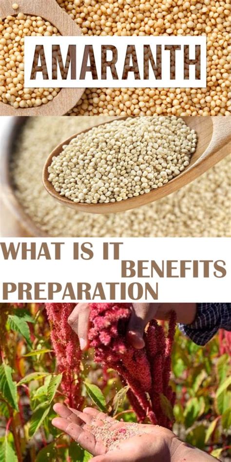 Amaranth: What is it, Benefits and Preparation | Amaranth benefits ...